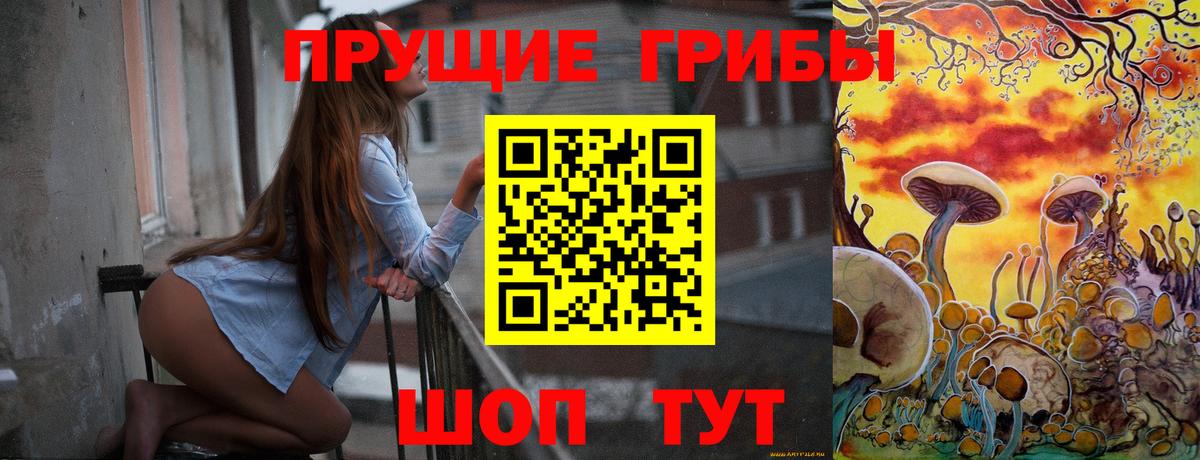Псилоцибиновые грибы Cubensis  Вход с VPN  Галлюциногенные грибы мицелий  Россошь 