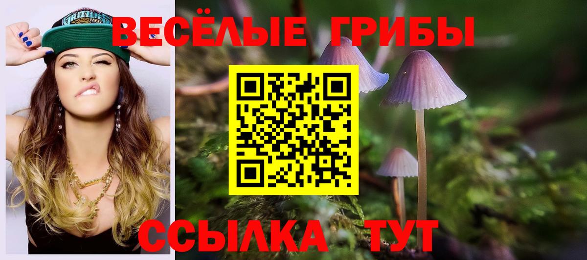 Псилоцибиновые грибы MAGIC MUSHROOMS Россошь
